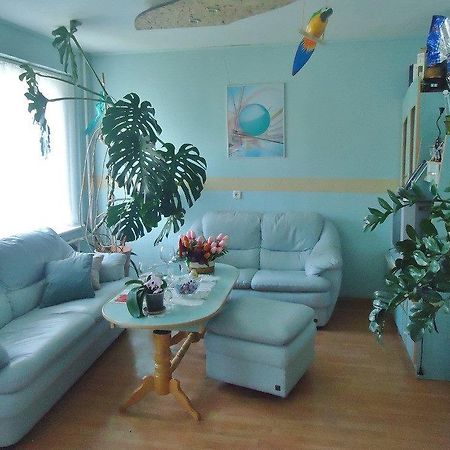 אליטוס Puikus Apartamentai מראה חיצוני תמונה